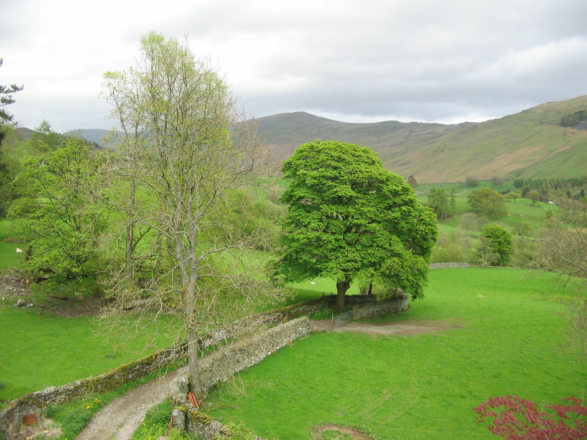 High Fold Guest House Troutbeck  Экстерьер фото