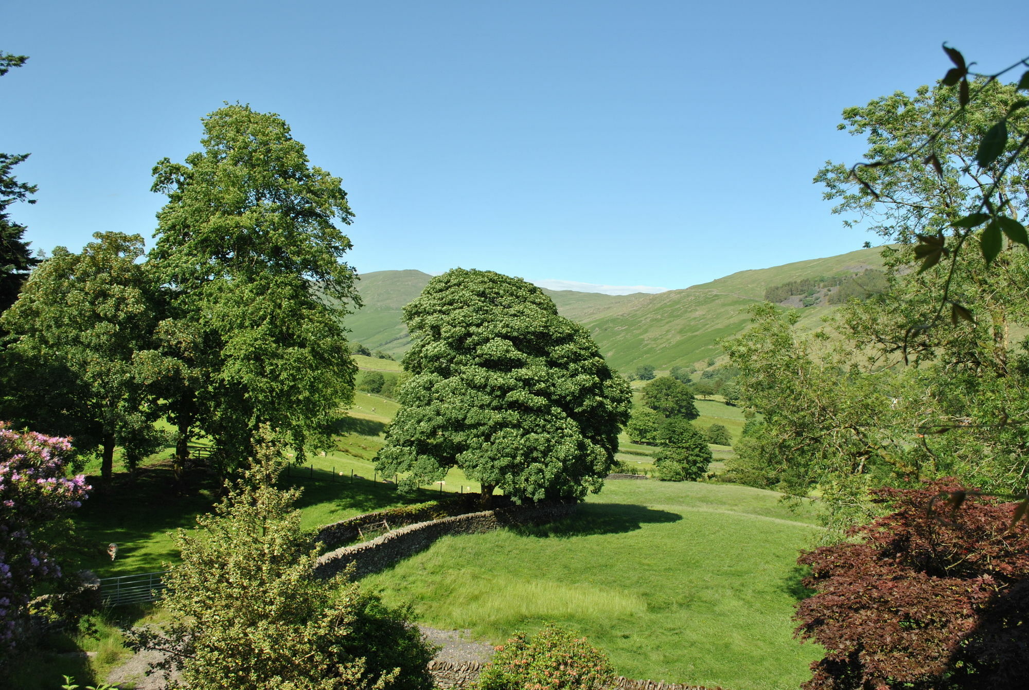 High Fold Guest House Troutbeck  Экстерьер фото